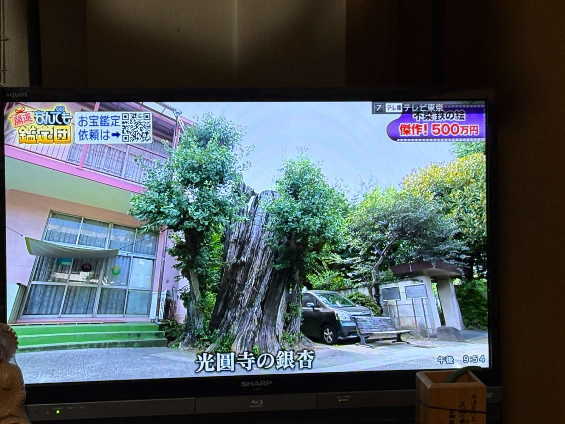 幼稚園(お寺)が紹介されましたの外観