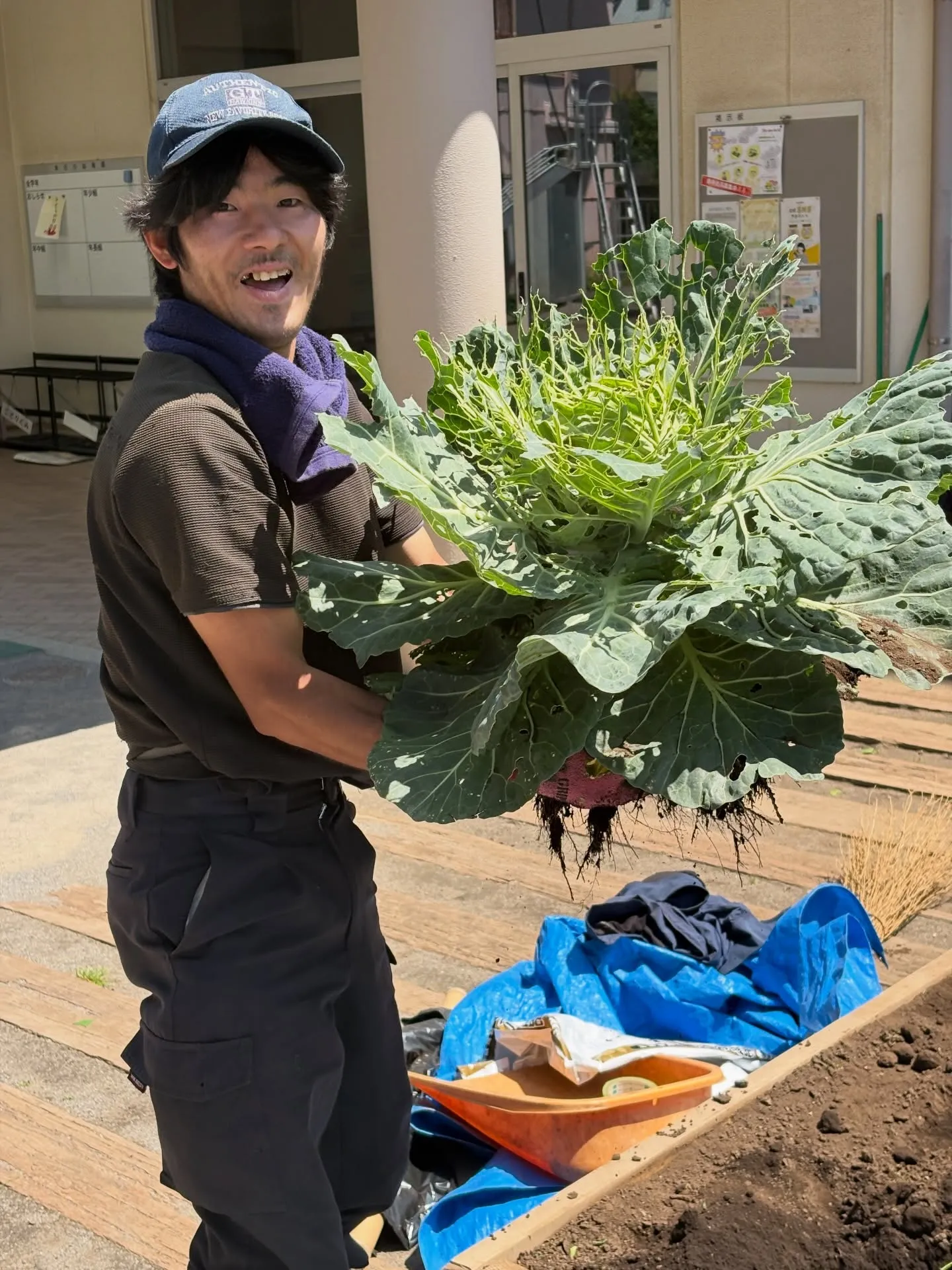 ご心配いただいた#キャベツ ですが，ゴールデンウィーク中に、...
