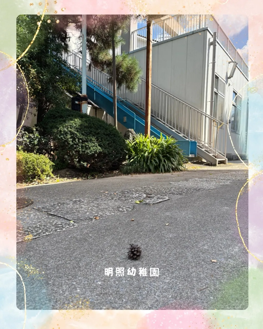 雨が降って、松ぼっくりが落ちました。