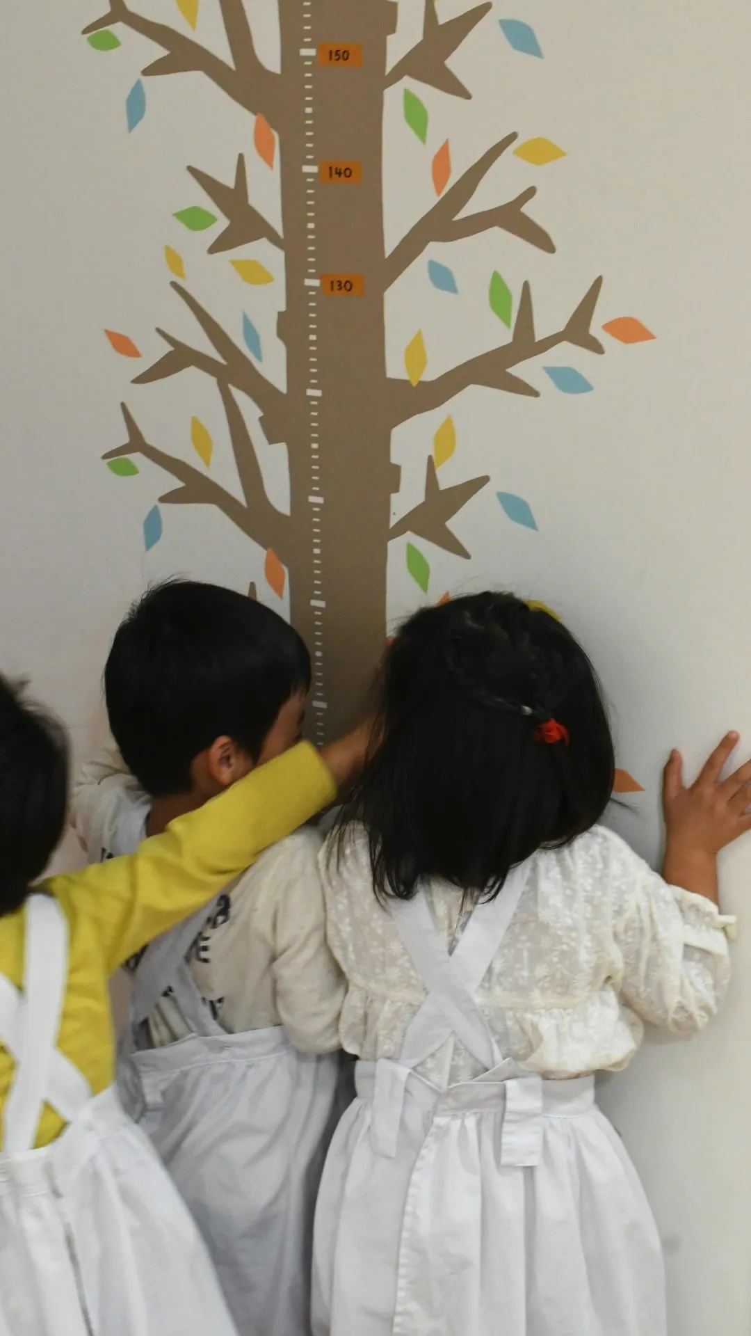 ポケットコーナーの身長計にて。